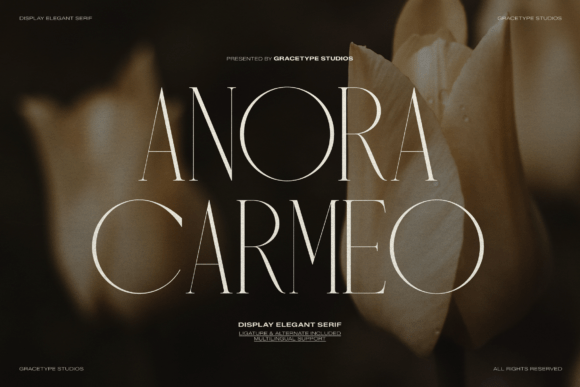 Anora Carmeo: A Sophisticated Serif Font for Editorial Design