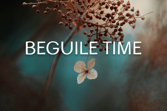 Beguile Time: A Modern Sans Serif for Branding Projects