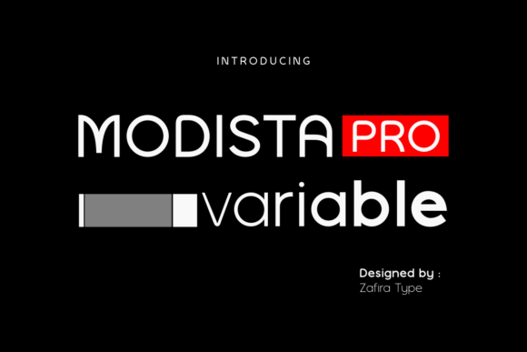 Modista Pro Variable: A Designer's Real-World Test